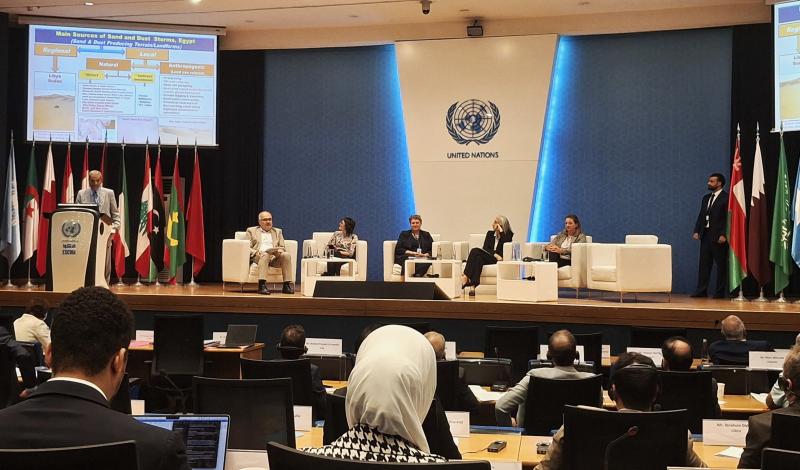 منتدى الإسكوا والإسكاب يؤسس لتعاون عابر للحدود ويطلق عقد الأمم المتحدة لمواجهة "العدو الأصفر"